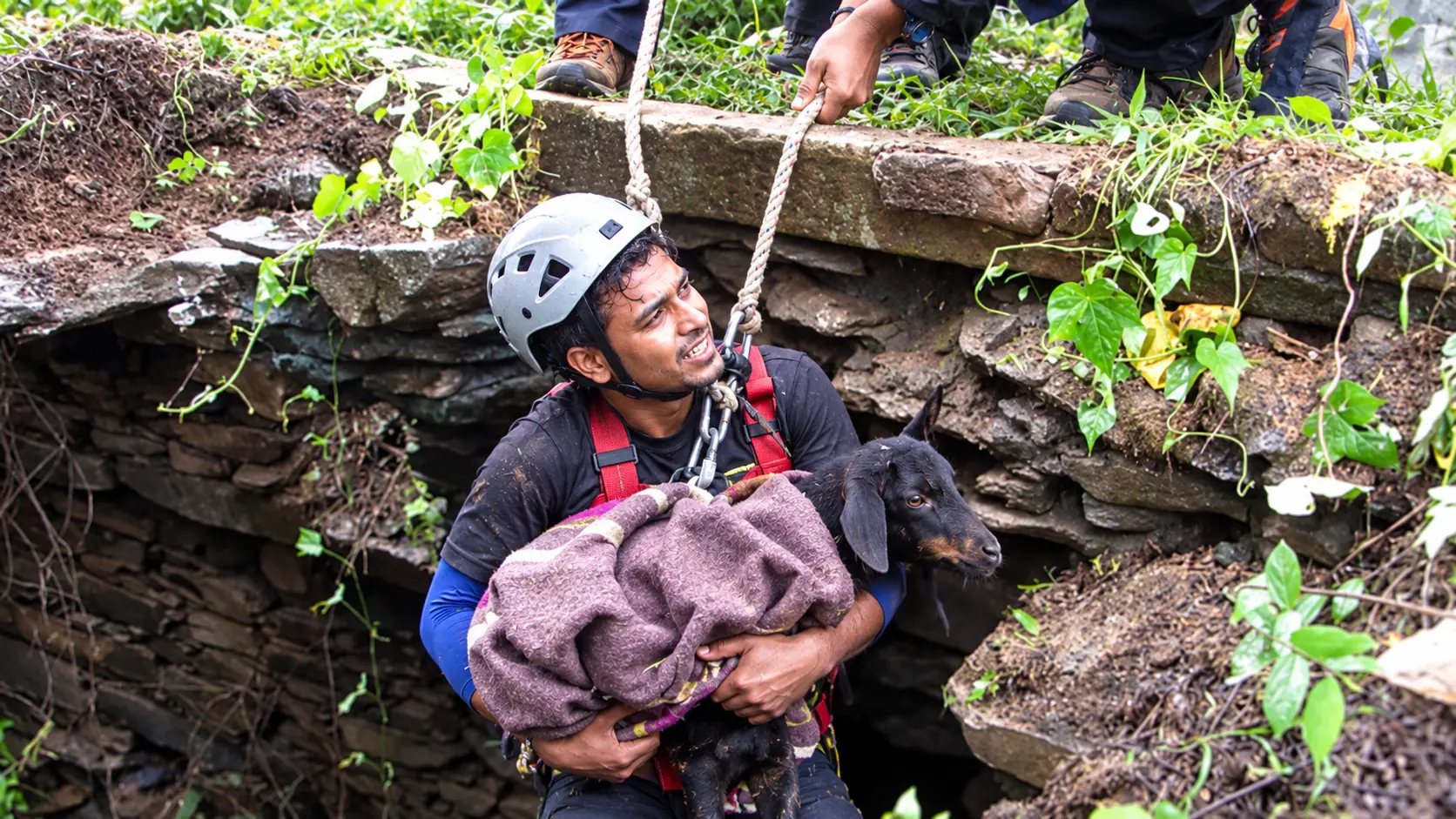 Wildlife Rescue Master (Level 3)