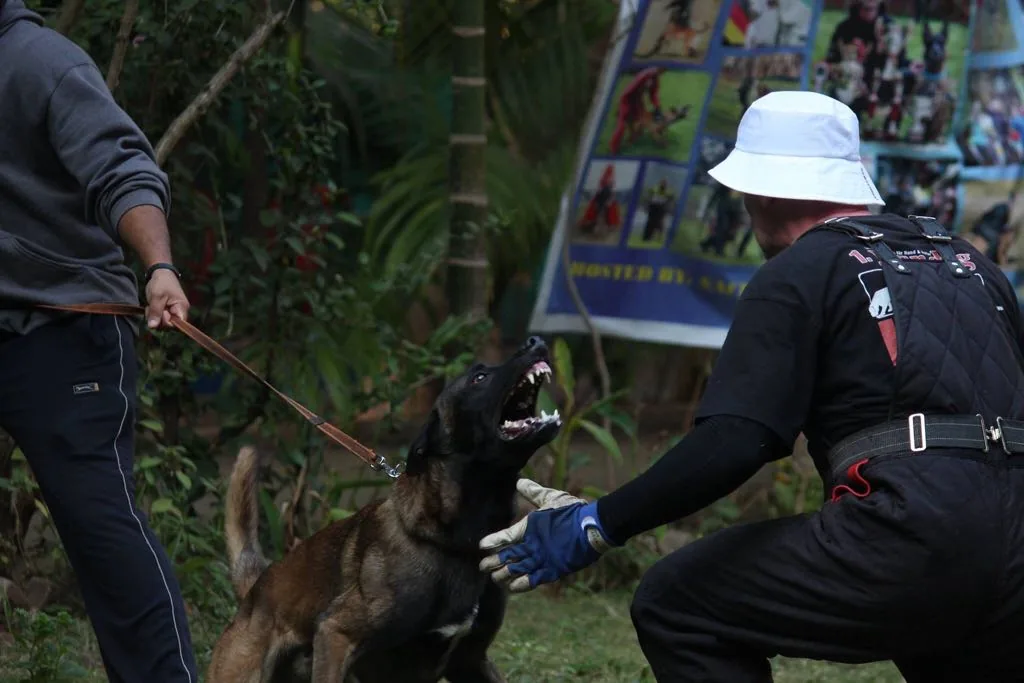 Dog Handlers Course